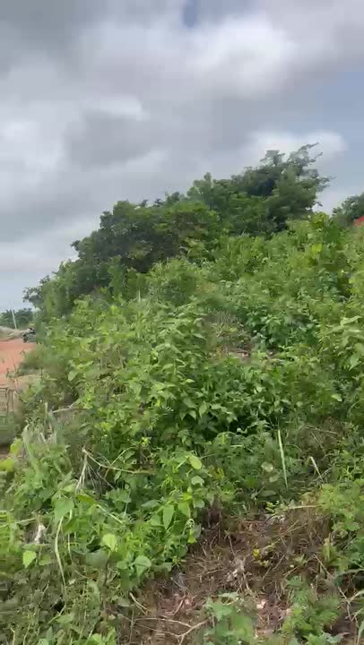 Terrain de 600 m² à vendre à Ndronkro (attestation villageoise)