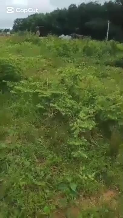 Terrain de 400 m² à vendre à Ebimpé (site approuvé)