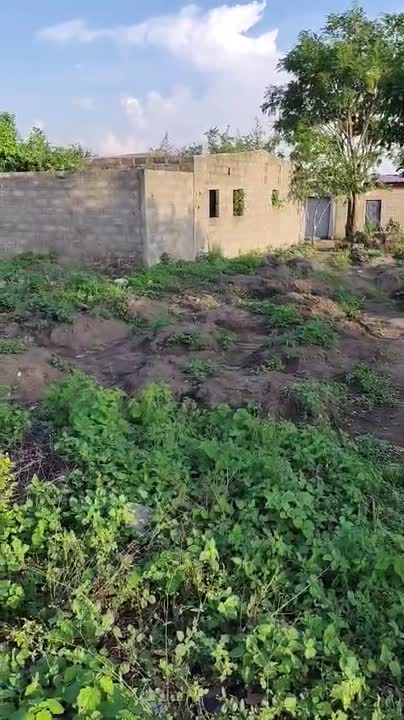 Terrain de 600 m² avec bâtiment à Tchelekro