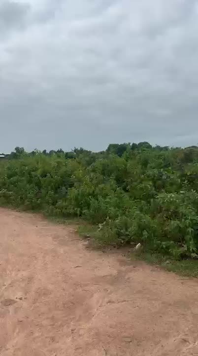 Terrain de 500 m² à vendre à Belleville (attestation villageoise)