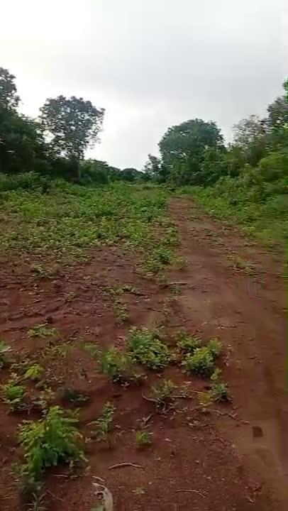 Terrain à vendre à Sessenoua (voie de Béoumi)