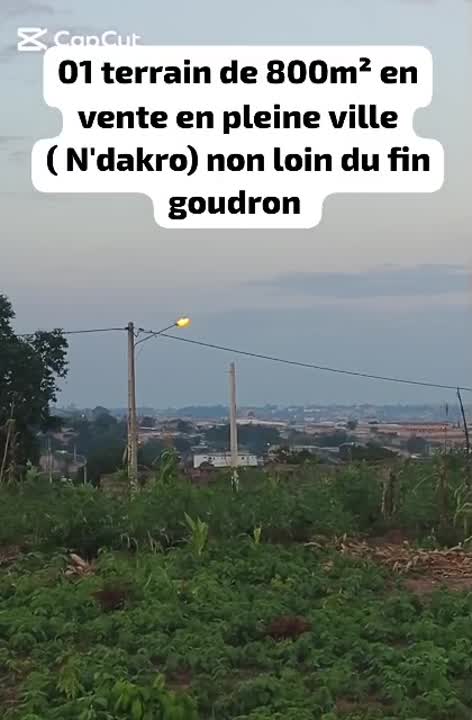 Terrain de 800 m² à vendre à N'Dakro