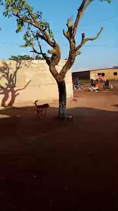 Magasin à louer à Gonfreville