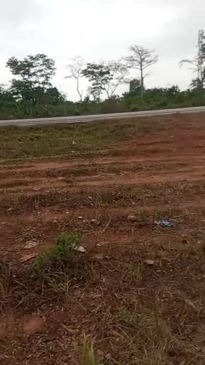 Terrain de 2 ha à vendre à Logbakro (ACD en cours)