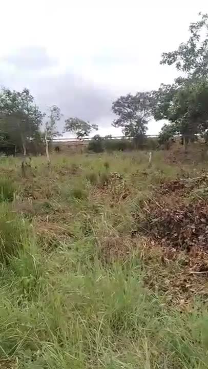 Terrain de 800 m² à vendre près de Yamoussoukro (titre foncier)