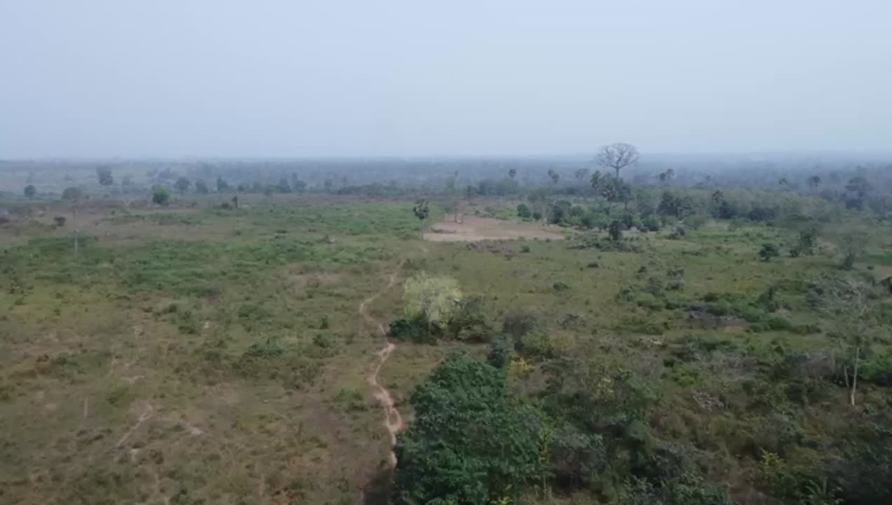 Terrain de 25 ha à vendre à Yamoussoukro (derrière Hôtel Parlementaire)