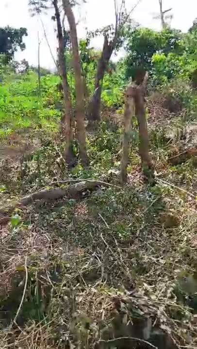 Terrain de 830 m² à vendre à Morofé Katakoubo
