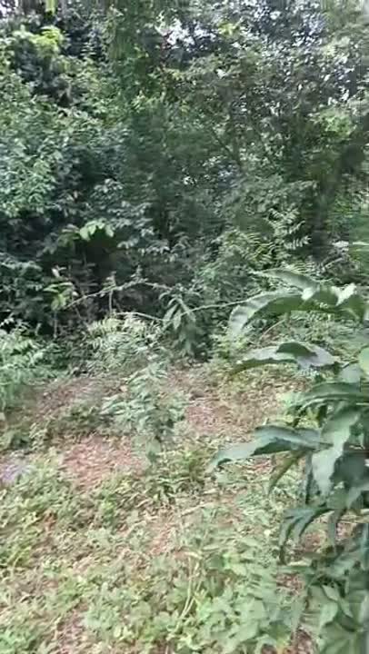 Terrain de 500 m² à vendre à Akpessékro Gbaté 1