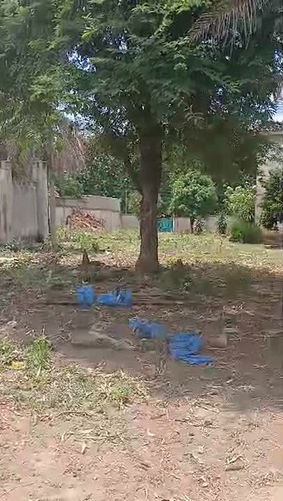 Grand terrain de 4998 m² à vendre au Commerce (ACD disponible)