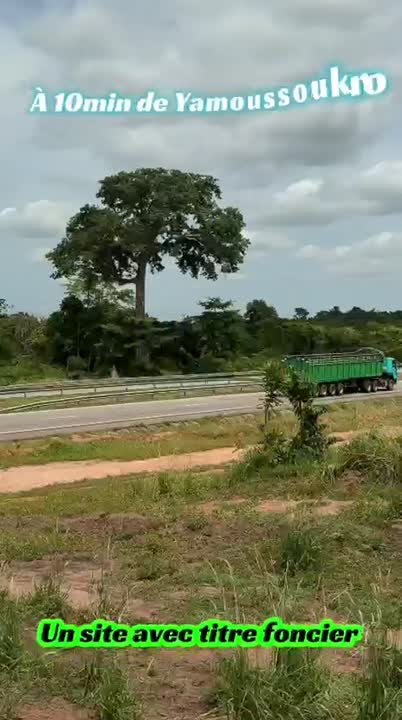 Terrain de 500 à 600 m² à vendre à Yamoussoukro (Lolobo)