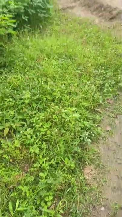 Terrain de 600 m² avec maison 3 chambres salon à vendre à Dar Es Salam