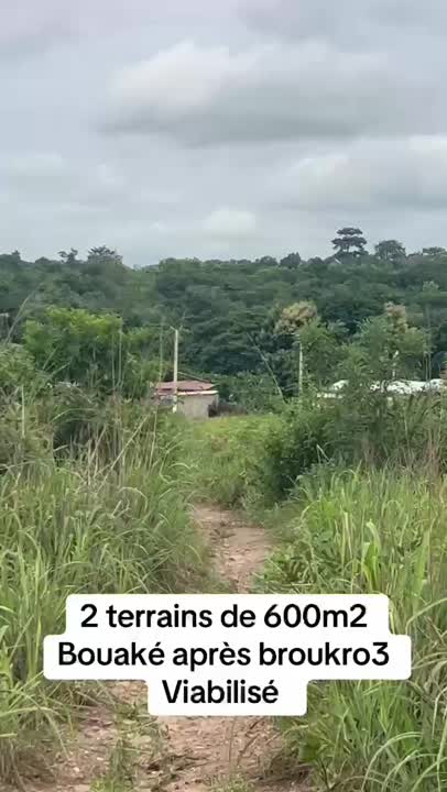 2 terrains de 600 m² à vendre après Broukro 3