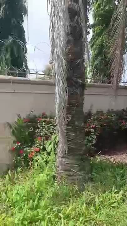 Ensemble immobilier à louer au quartier Municipal
