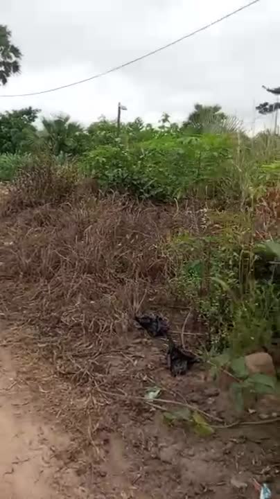 5 terrains de 600 m² à vendre à Pkoussoussou Extension (ACD)