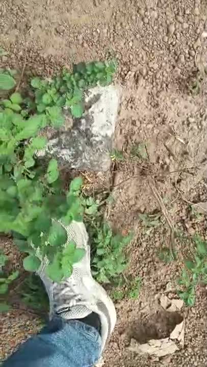 Terrain de 685 m² à vendre à Yamoussoukro (ACD disponible)