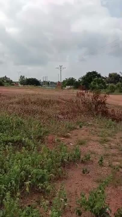 Terrain de 1000 m² à vendre à Yamoussoukro (ACD disponible)