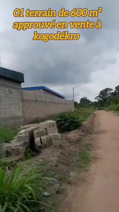 Terrain approuvé à Kogodékro — 300 m du bitume