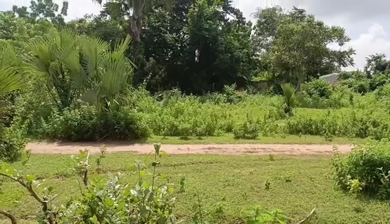 Terrain de 1348 m² à vendre à Belle-Vue (Yamoussoukro)