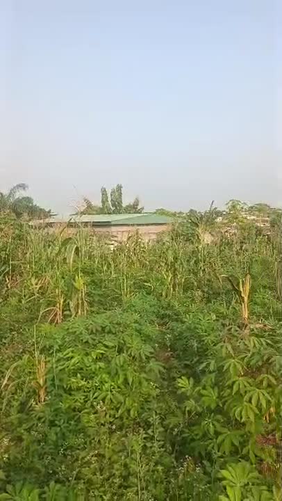 Terrain de 600 m² à vendre à Daloa (lotissement Tazibo université)
