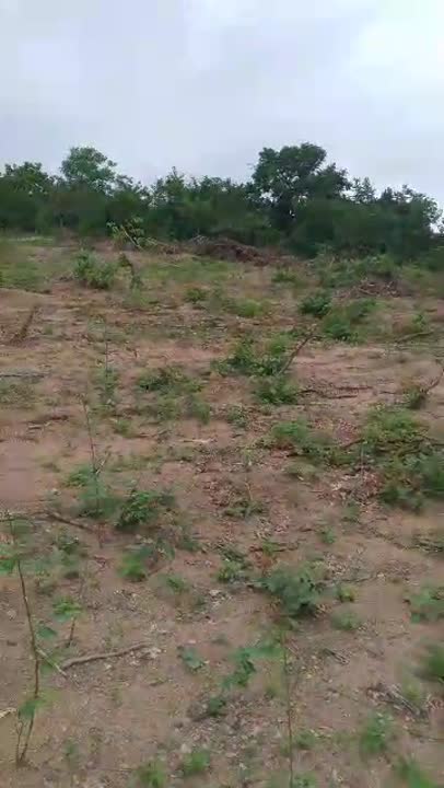Terrain à vendre à N'Dakro (zone approuvée)
