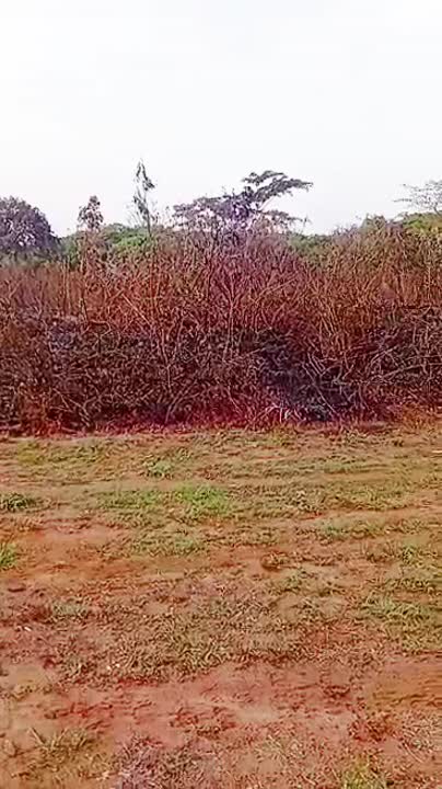 2 terrains de 500 m² à vendre au Corridor Sud