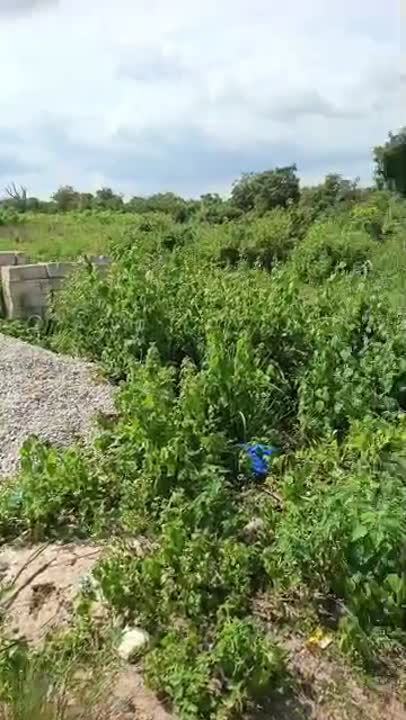 Terrain de 600 m² à vendre à Broukro