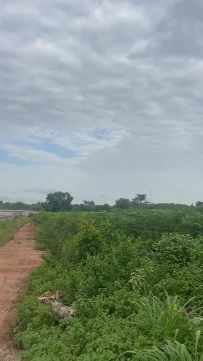 Terrain à vendre à Djebonoua