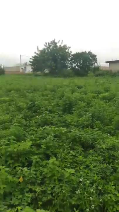Terrain de 750 m² à vendre à Bouaké (ACD disponible)