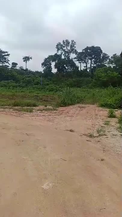 Terrain de 800 m² à vendre à Morofé Katakoubo
