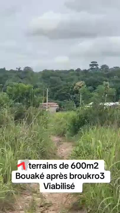 Terrain de 600 m² à vendre après Broukro 3