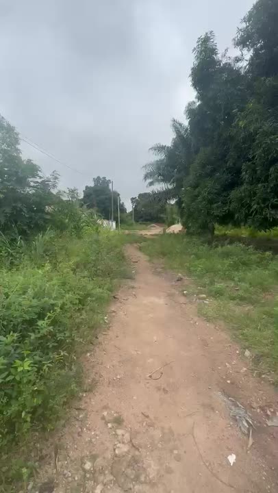 Terrain de 1000 m² à vendre à Ahougnassou (ACD disponible)