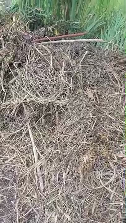 Terrain de 550 m² à vendre à Morofé (ACD disponible)