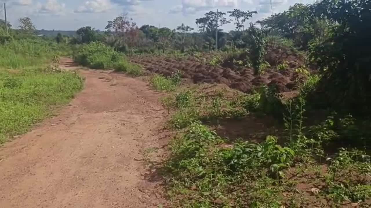 Terrain à vendre à Tchelekro (lotissement Kouadio Kouamékro)