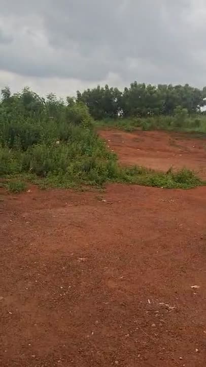 Terrain de 641 m² à vendre à Kokrenou (ACD disponible)