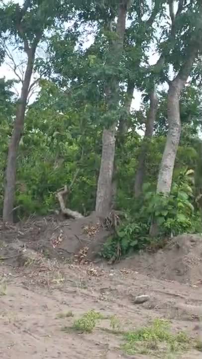 Terrain de 3000 m² à vendre à Diabo (Kahabo)