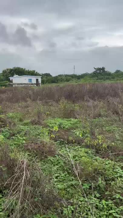 8 lots collés à vendre à Kennedy (ACD disponible)