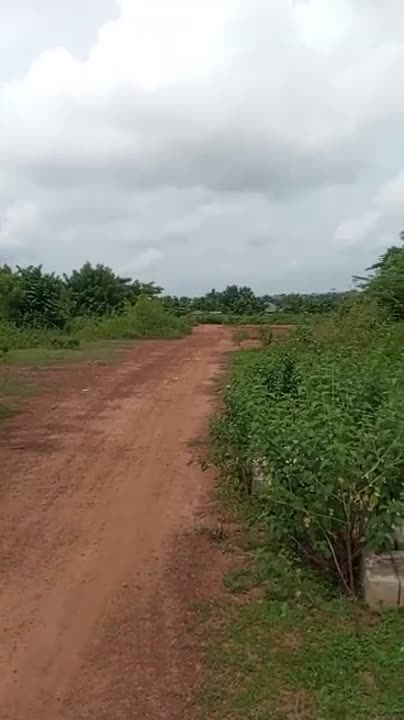 Terrain de 600 m² avec bâtiments à vendre à Apkessekro (ACD)