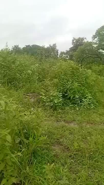 Terrain de 560 m² à vendre à Nimbo