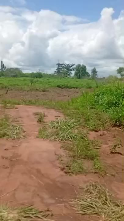 Terrain viabilisé à vendre à Nimbo — près du corridor sud