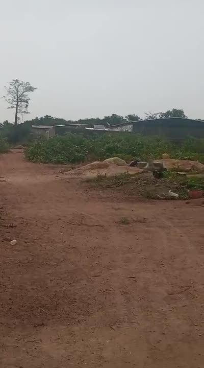 Terrain de 500 m² à vendre à Allocokro (attestation villageoise)