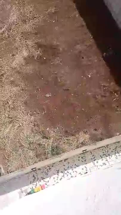 Terrain de 750 m² à vendre à Yamoussoukro Ebenezer (ACD disponible)