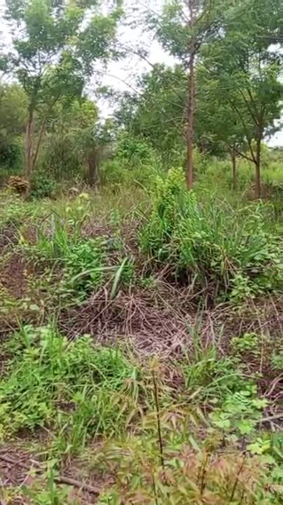 Terrain de 600 m² à vendre à Yamoussoukro (ACD en cours)