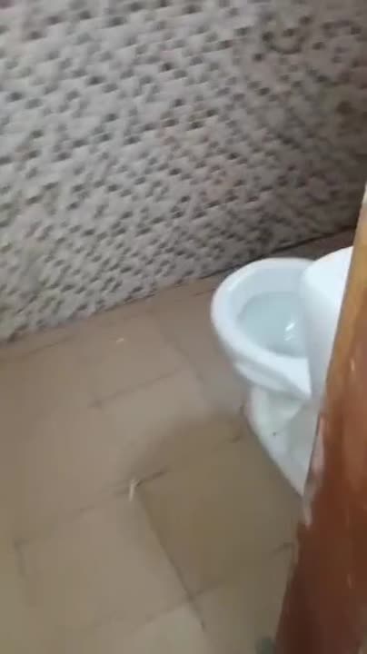 Studio à louer à La Flotte