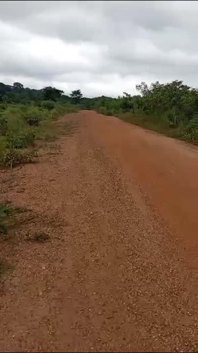 Terrain de 10 hectares à vendre à N'Gbekro (ACD en cours)