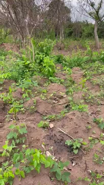 Terrain de 500 m² à vendre près de l'échangeur de Sakassou