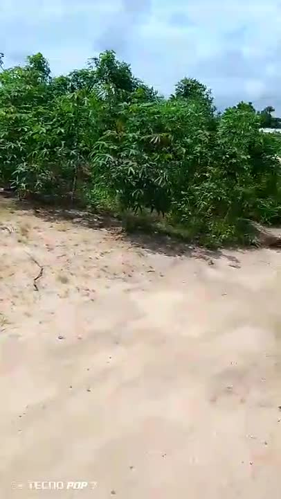 Terrain de 500 m² à vendre à Kpoussoussou (ACD en cours)