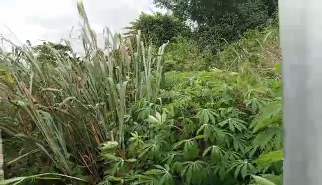 Terrain de 550 m² à vendre à Morofé N'Kloidjo (ACD disponible)