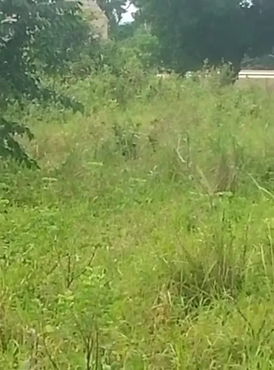 Terrain de 700 m² à vendre à Morofé (ACD en cours)