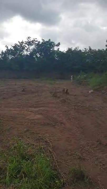 Terrain de 1265 m² à vendre à Guiglo 2 (TF disponible)