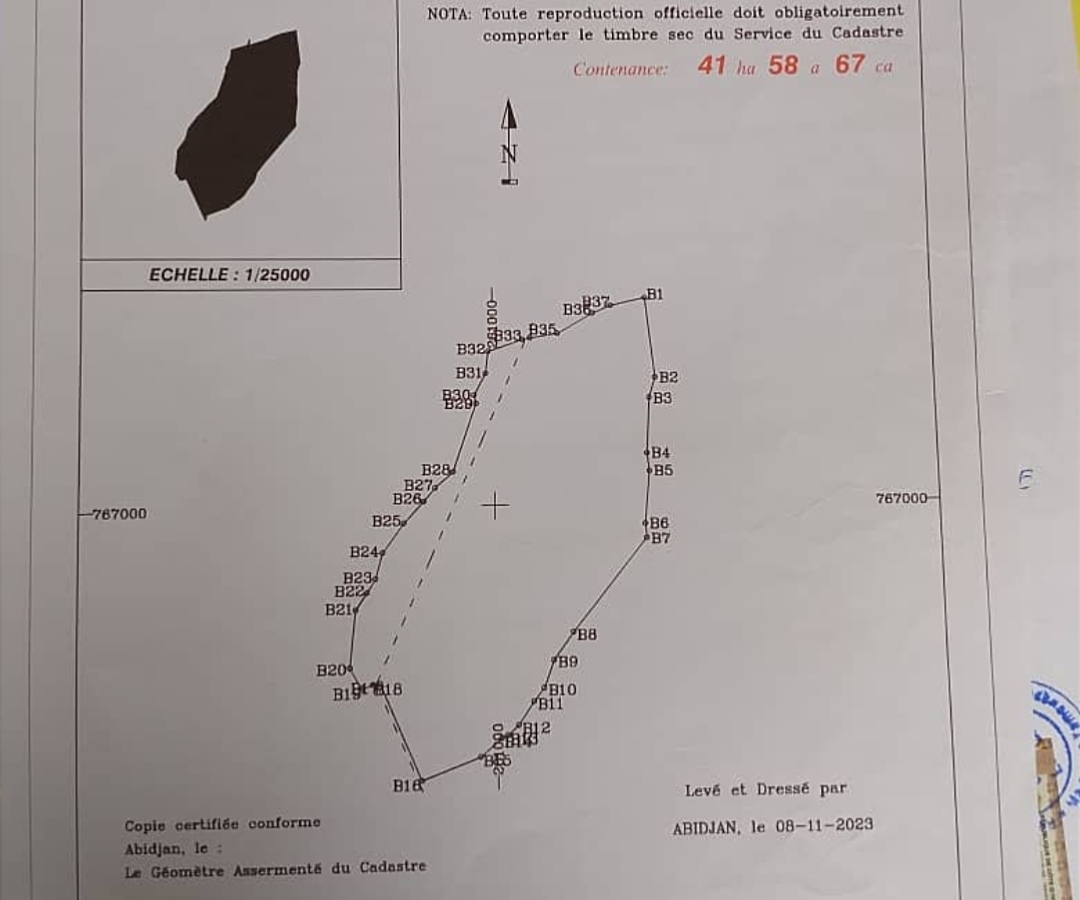Terrain de 3 hectares à vendre à N'Zéré (titre foncier)